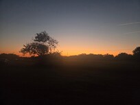Beautiful sunrise