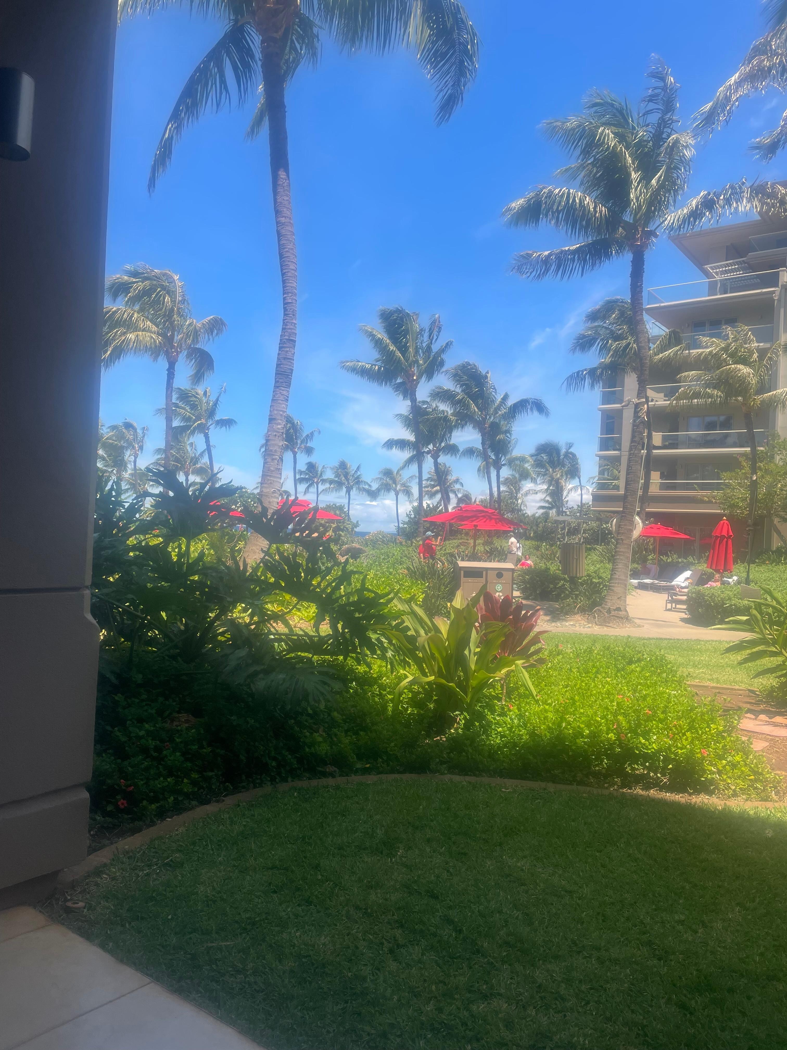 From the lanai