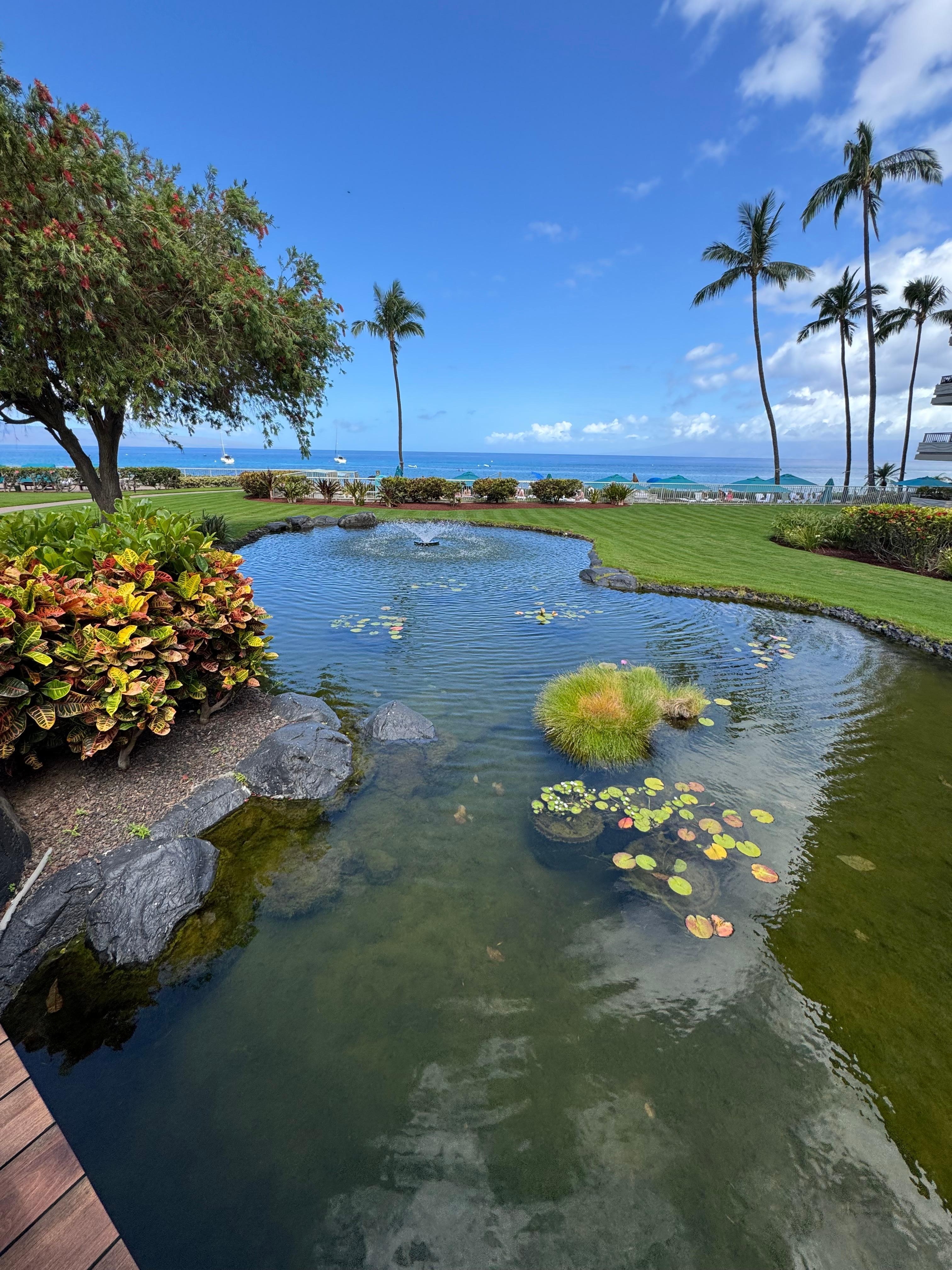 Gorgeous grounds
