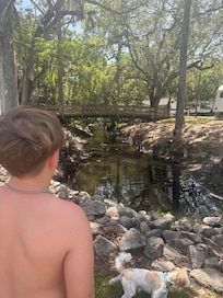 Cute bridge and creek