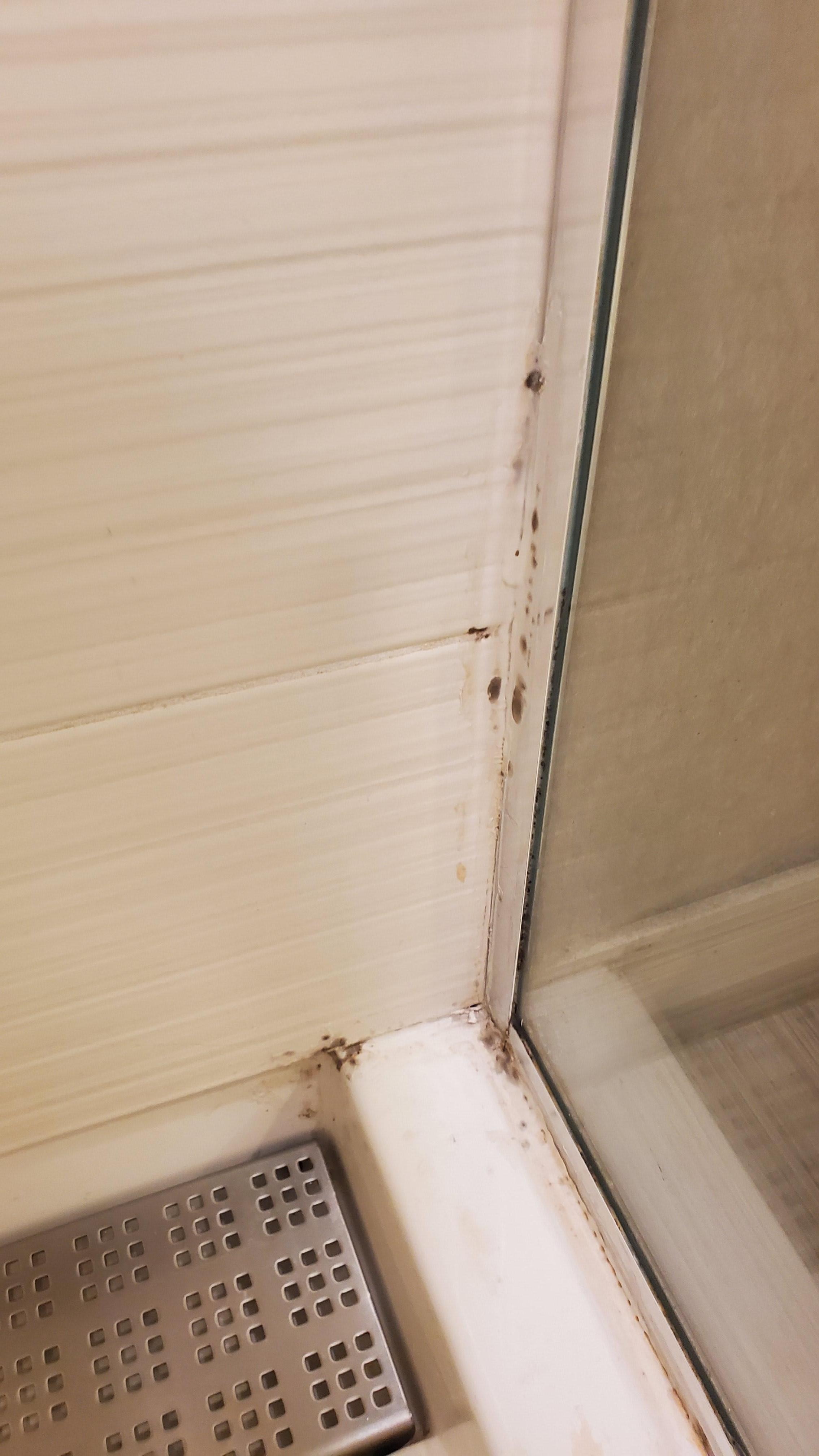 possible mold