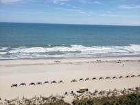 View from my room