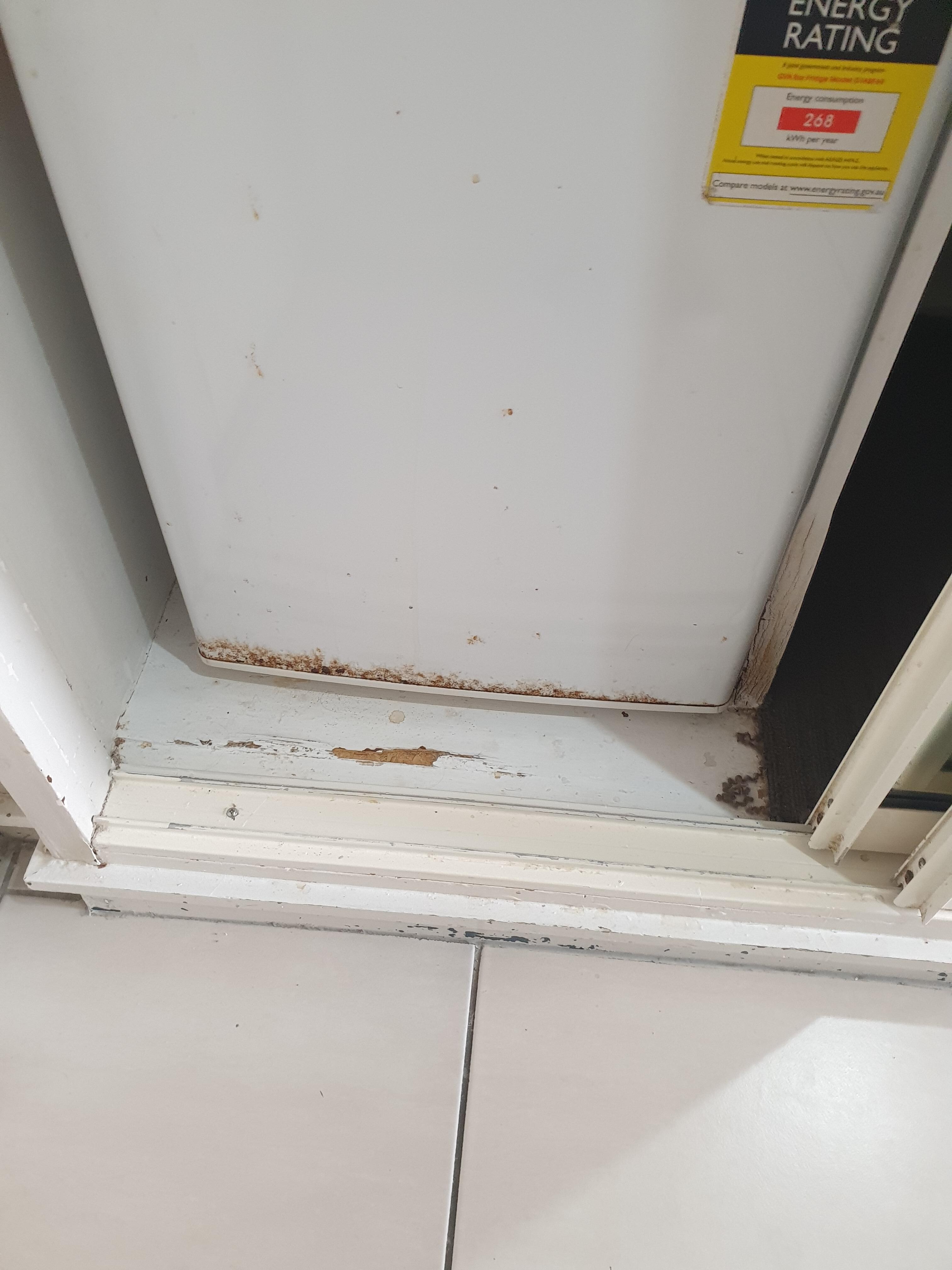 Fridge was unstable so everytime you open it things fell forward.