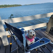 Sophie's favorite spot!