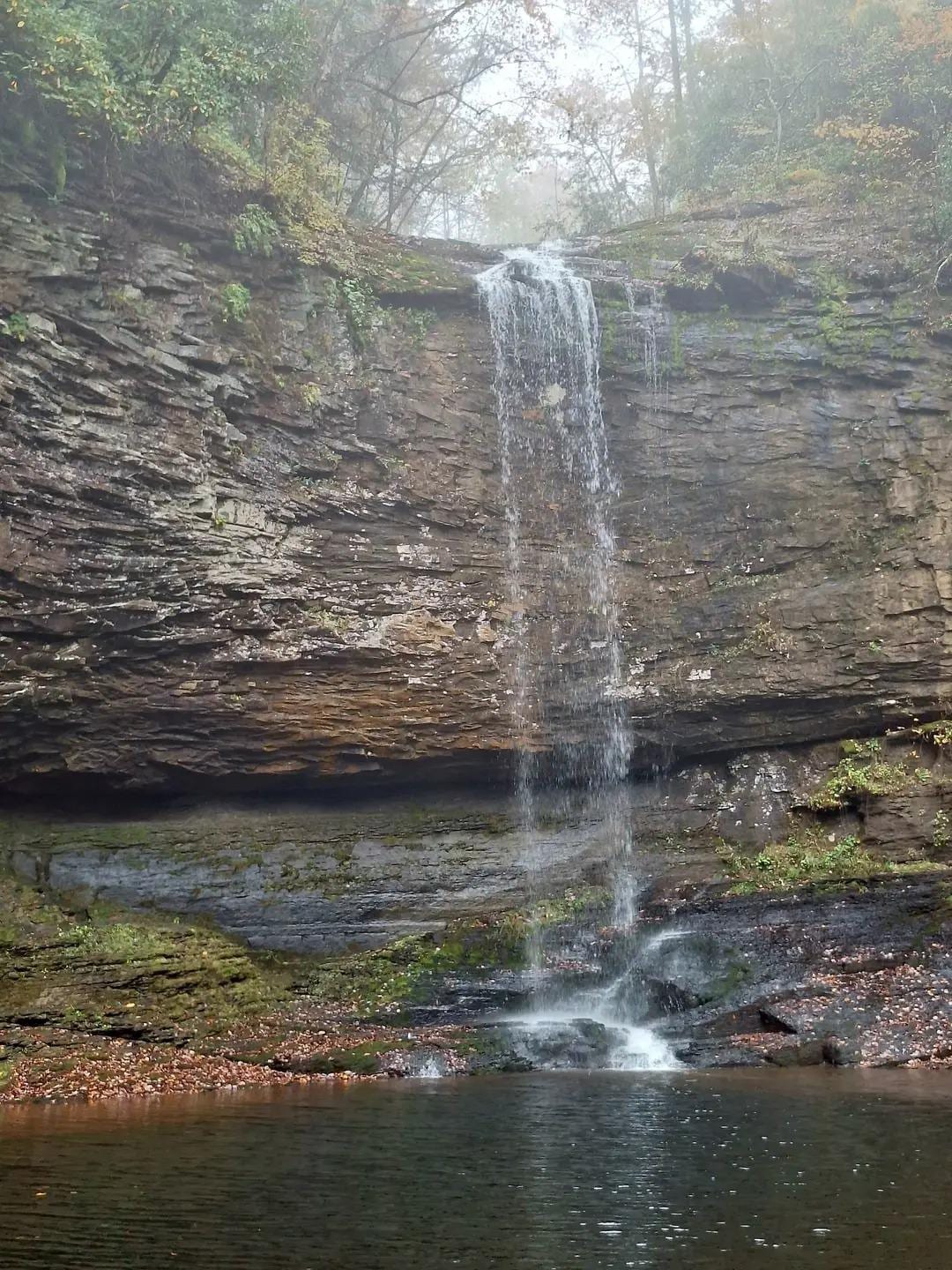 Cloudland Canyon 