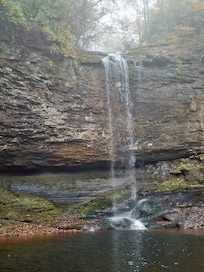 Cloudland Canyon