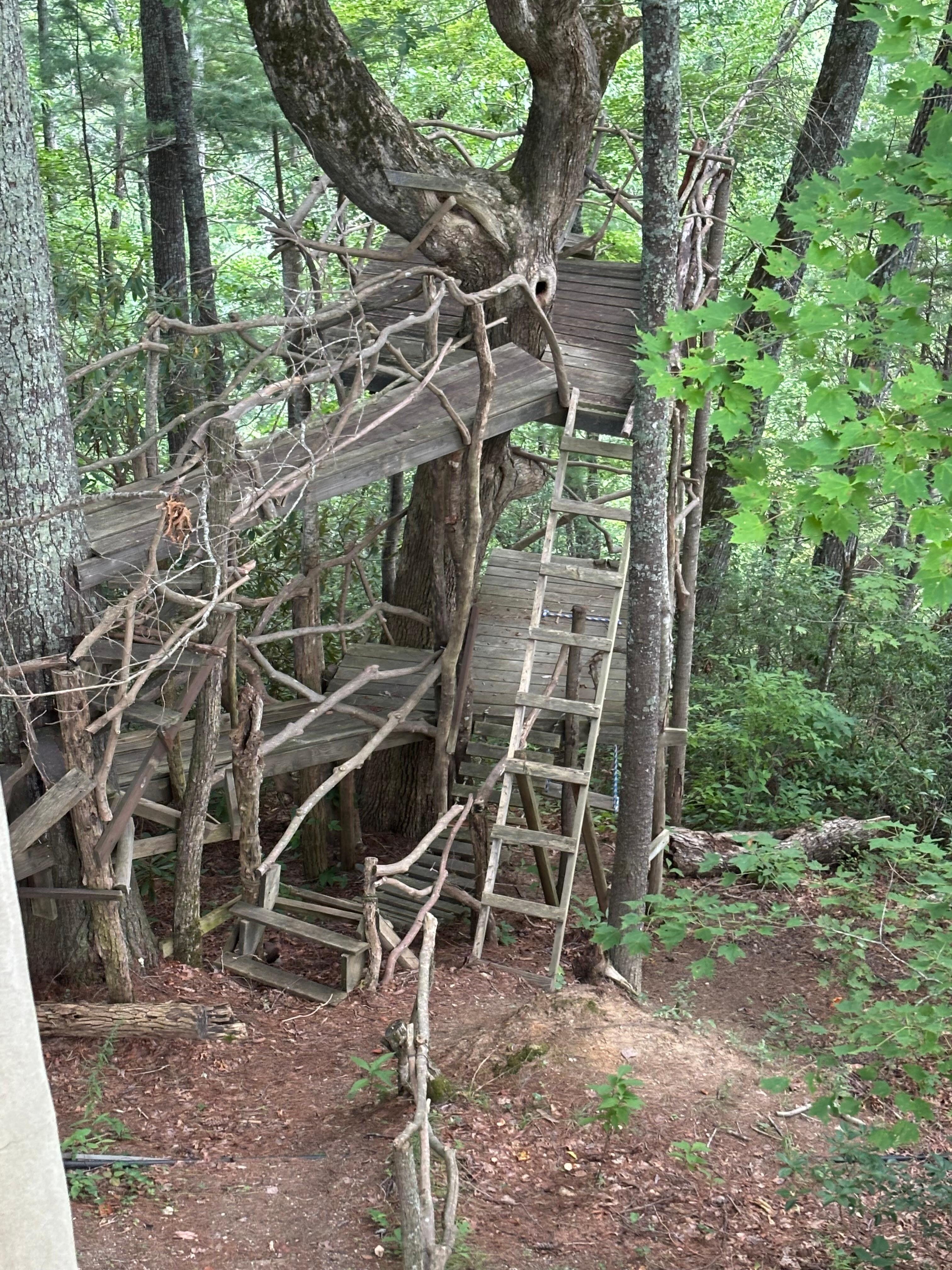Tree house on property 