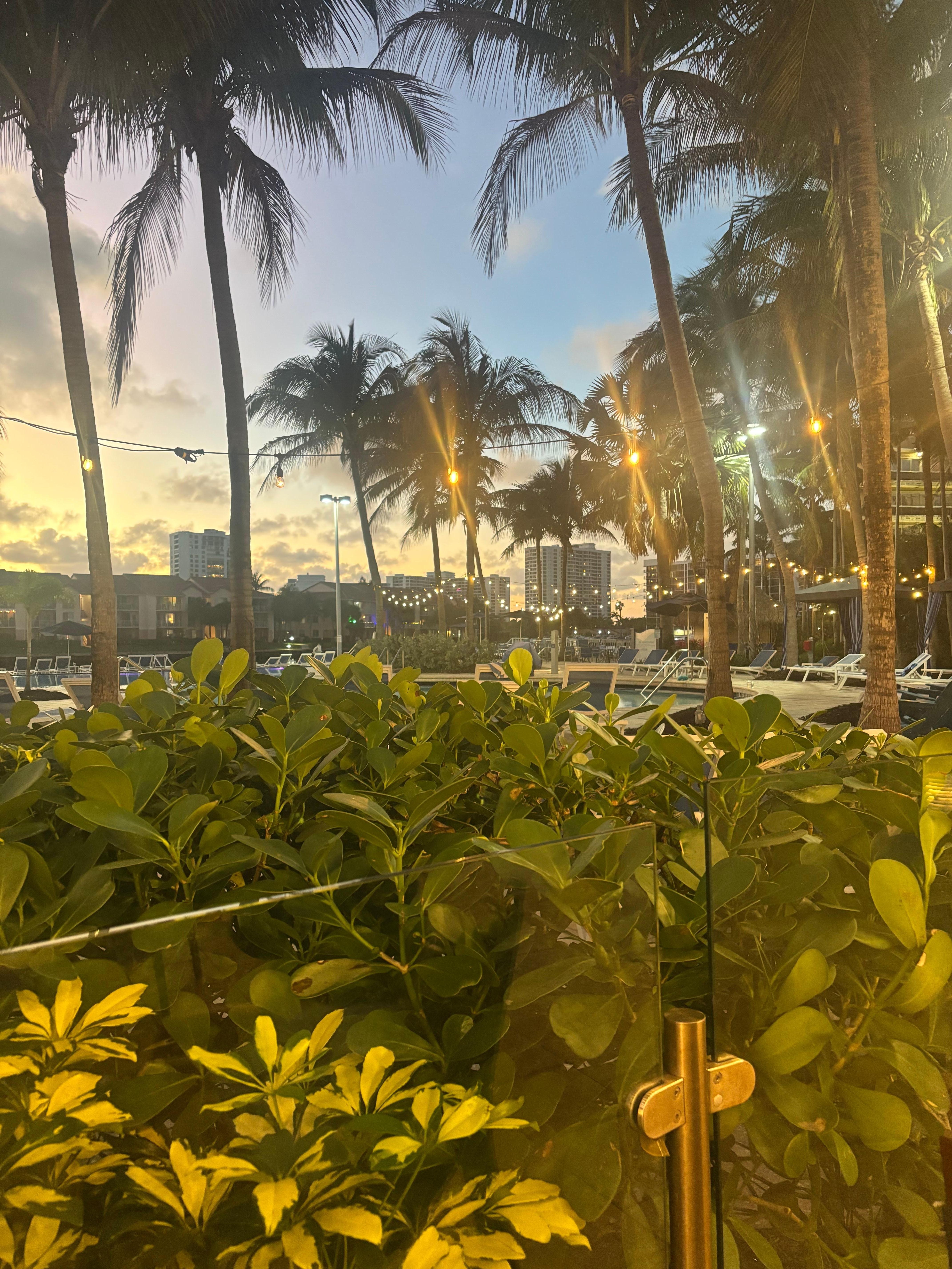 View from restaurant 