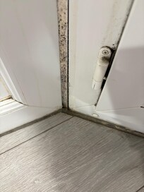 Schimmel im Zimmer