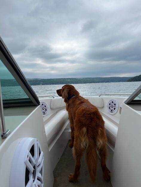Evening Boat Rides