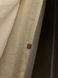 Blood, not mine