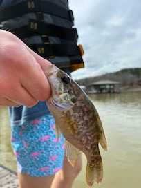 A fish my grandson. Caught!