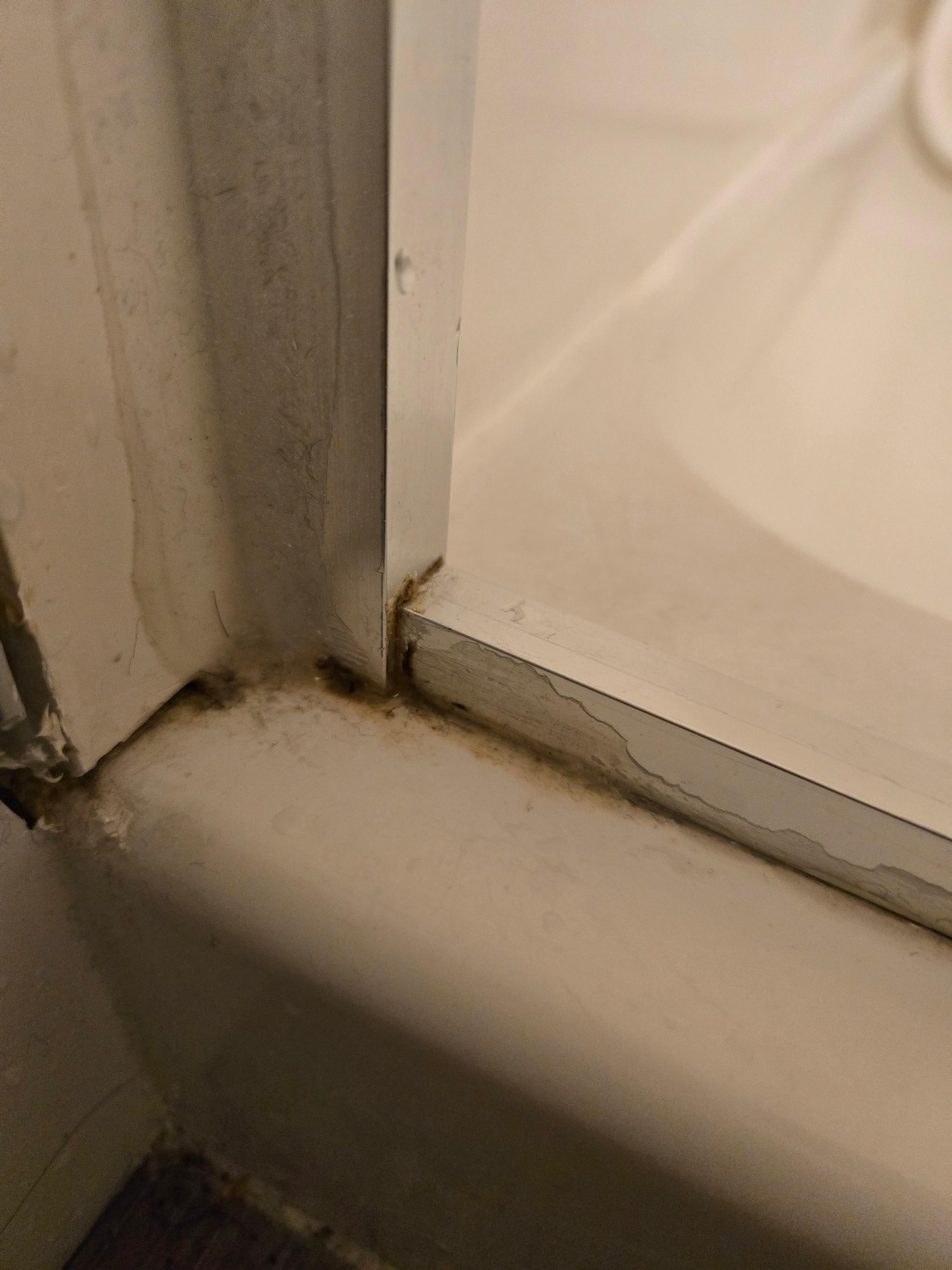 mold