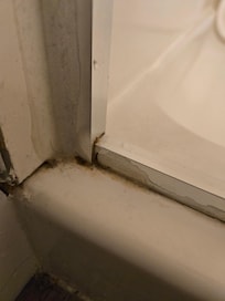 mold