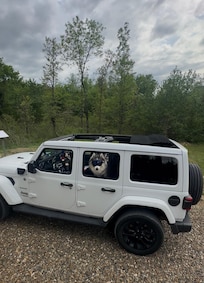 Arrived in style.