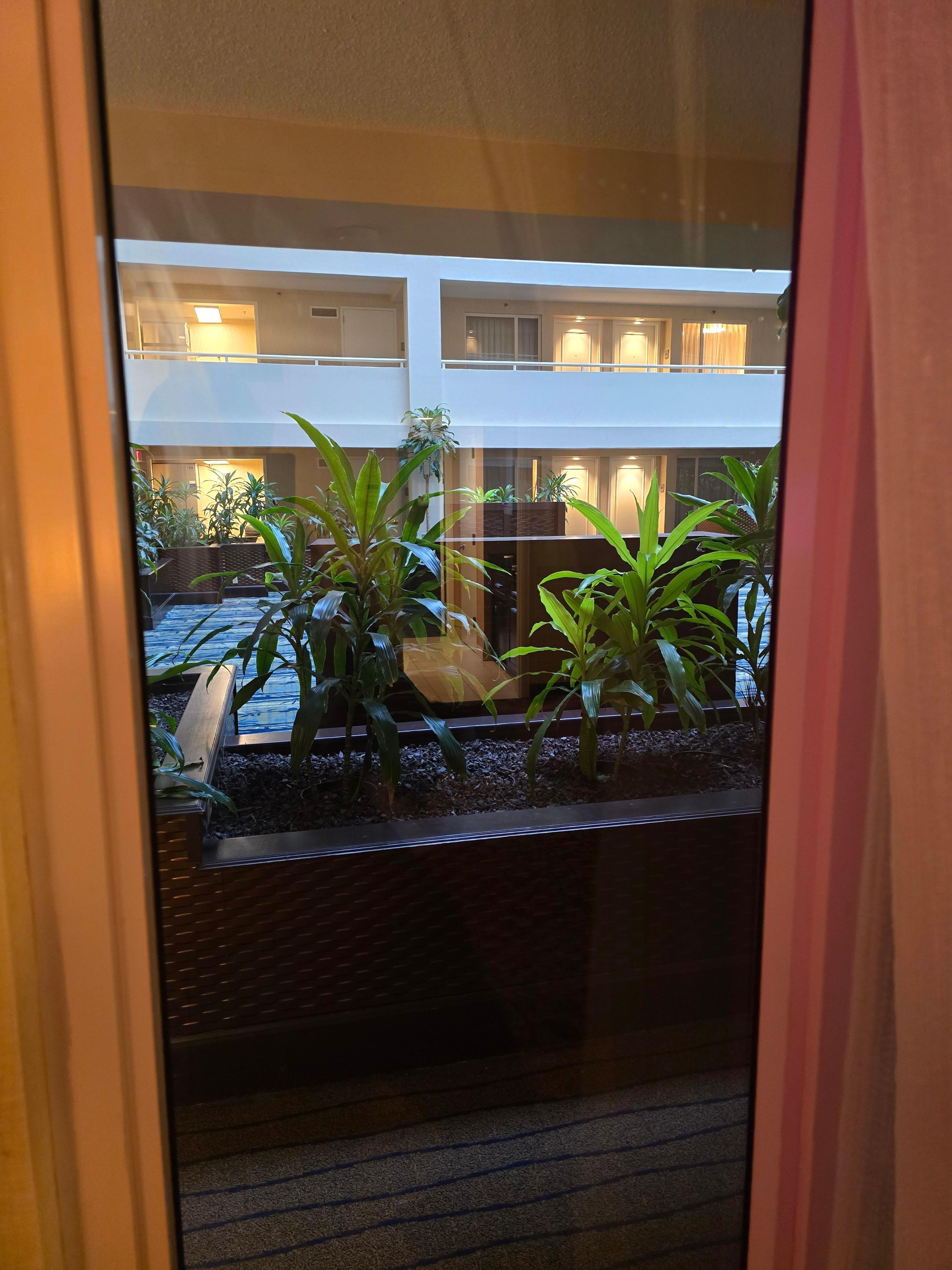 interior window, which had a sheer curtain, exterior window did not. clearer image of large interior mezzanine/atrium area where children were playing loudly, unattended.