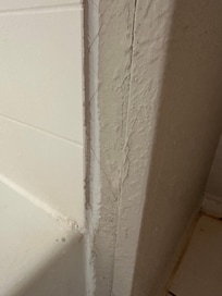 Hair stuck in the walls (did not take pics of the dirty towels)