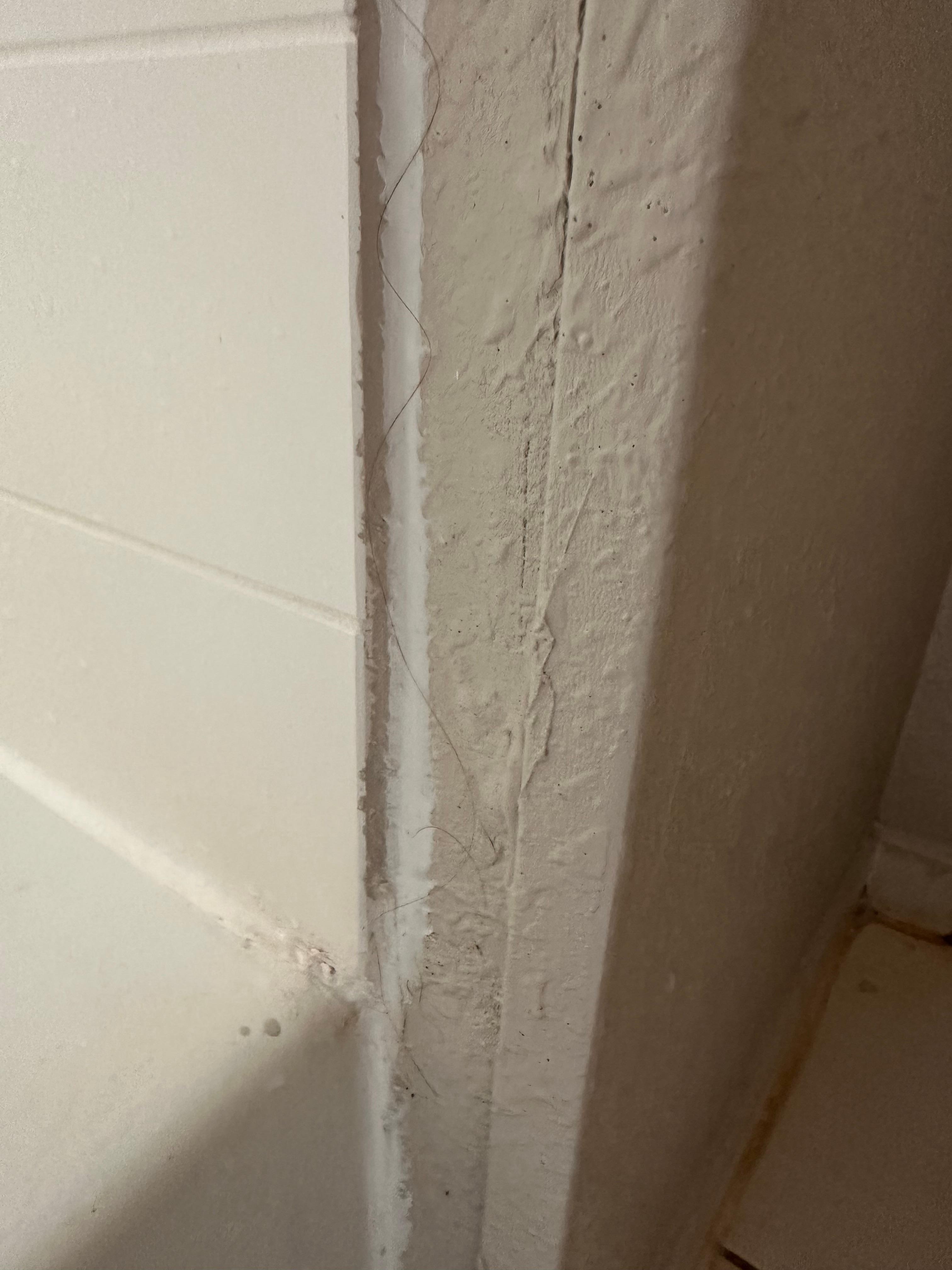 Hair stuck in the walls (did not take pics of the dirty towels)