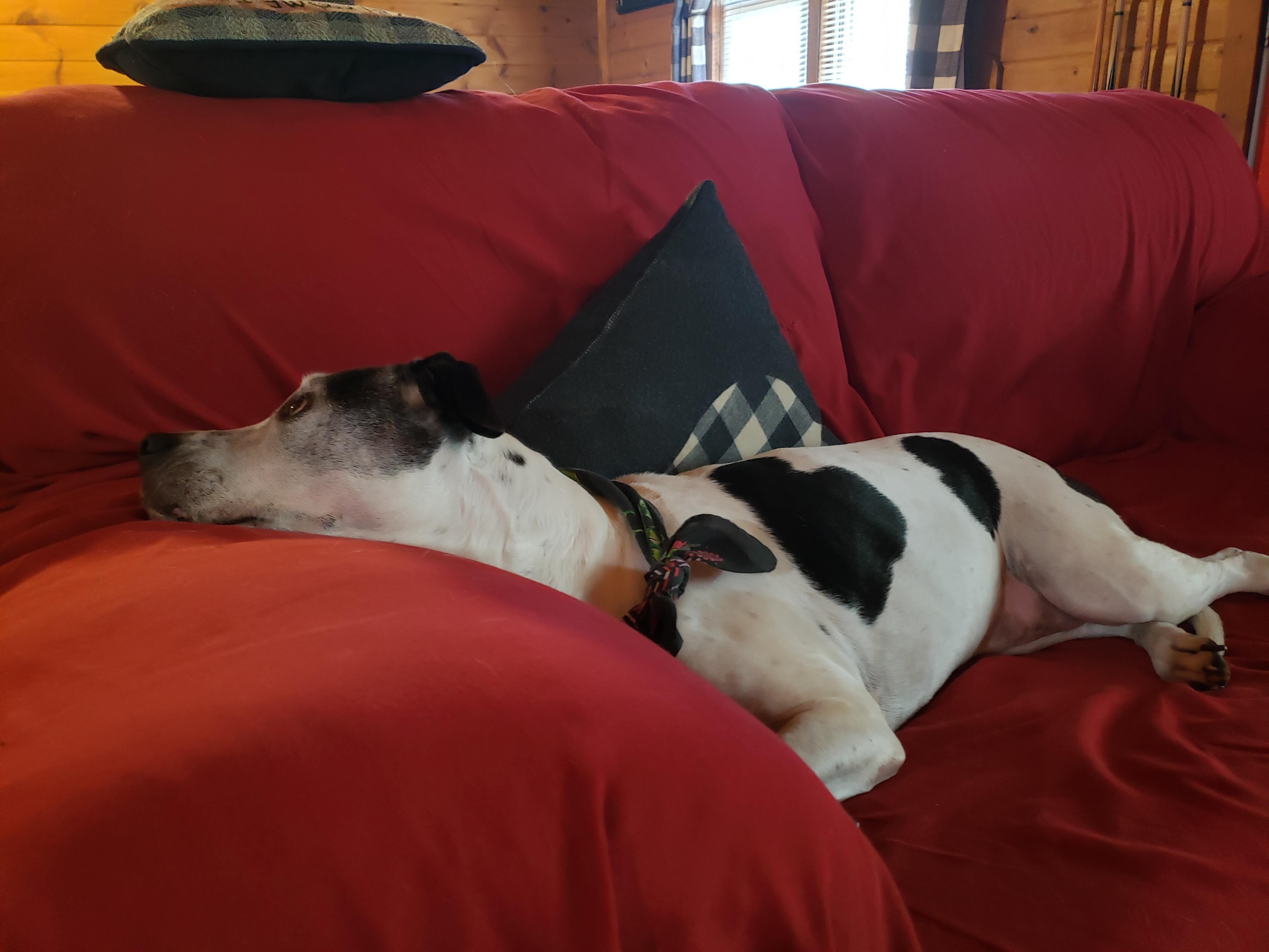 Our sweetheart was SO happy to be here with us!