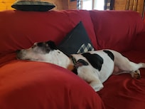 Our sweetheart was SO happy to be here with us!