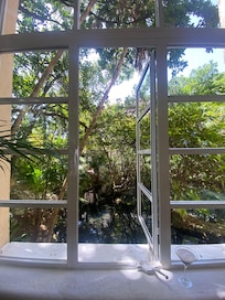 Beautiful jungle setting.