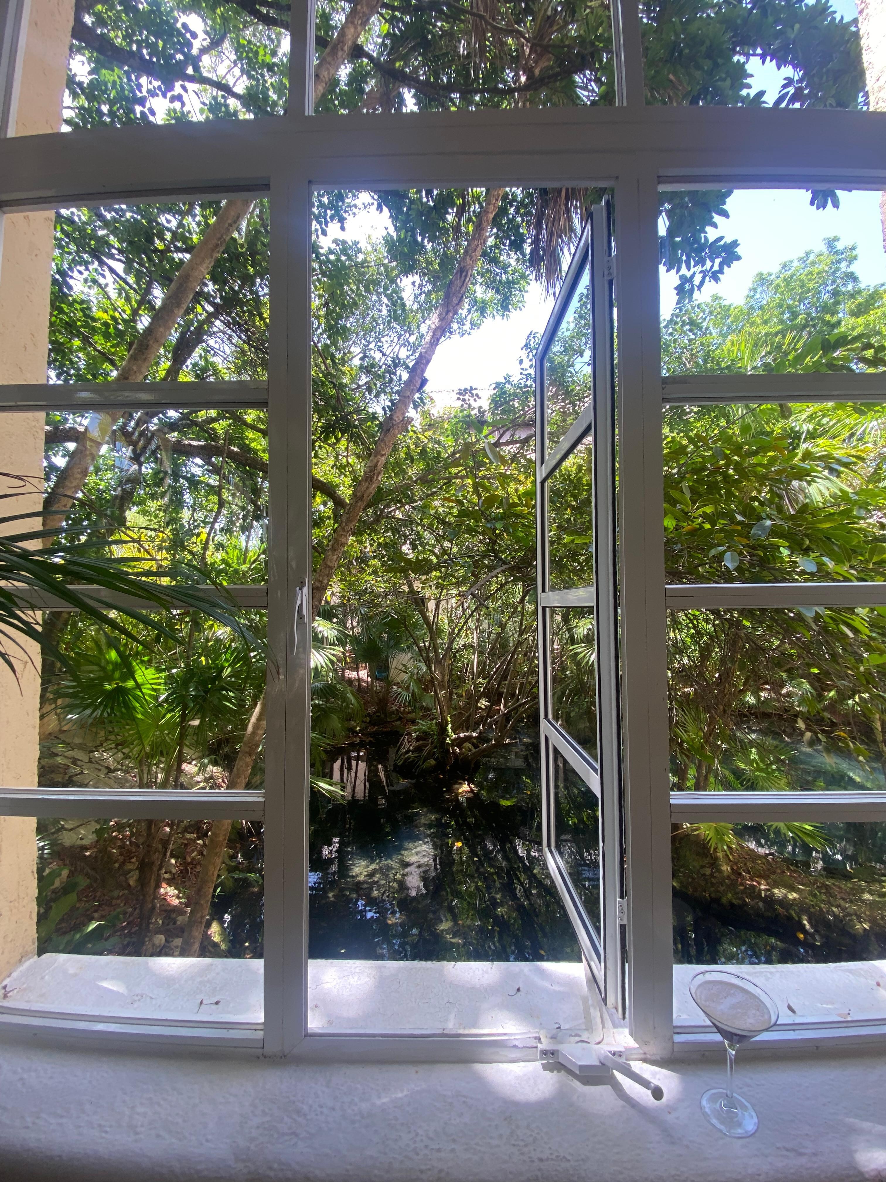 Beautiful jungle setting. 