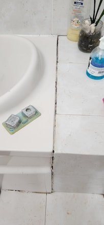 Mold in the bathroom
