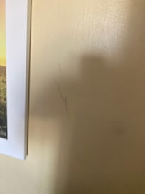 Marks on the wall. I deleted the pictures of the lamp shades and carpet, both need to be replaced.