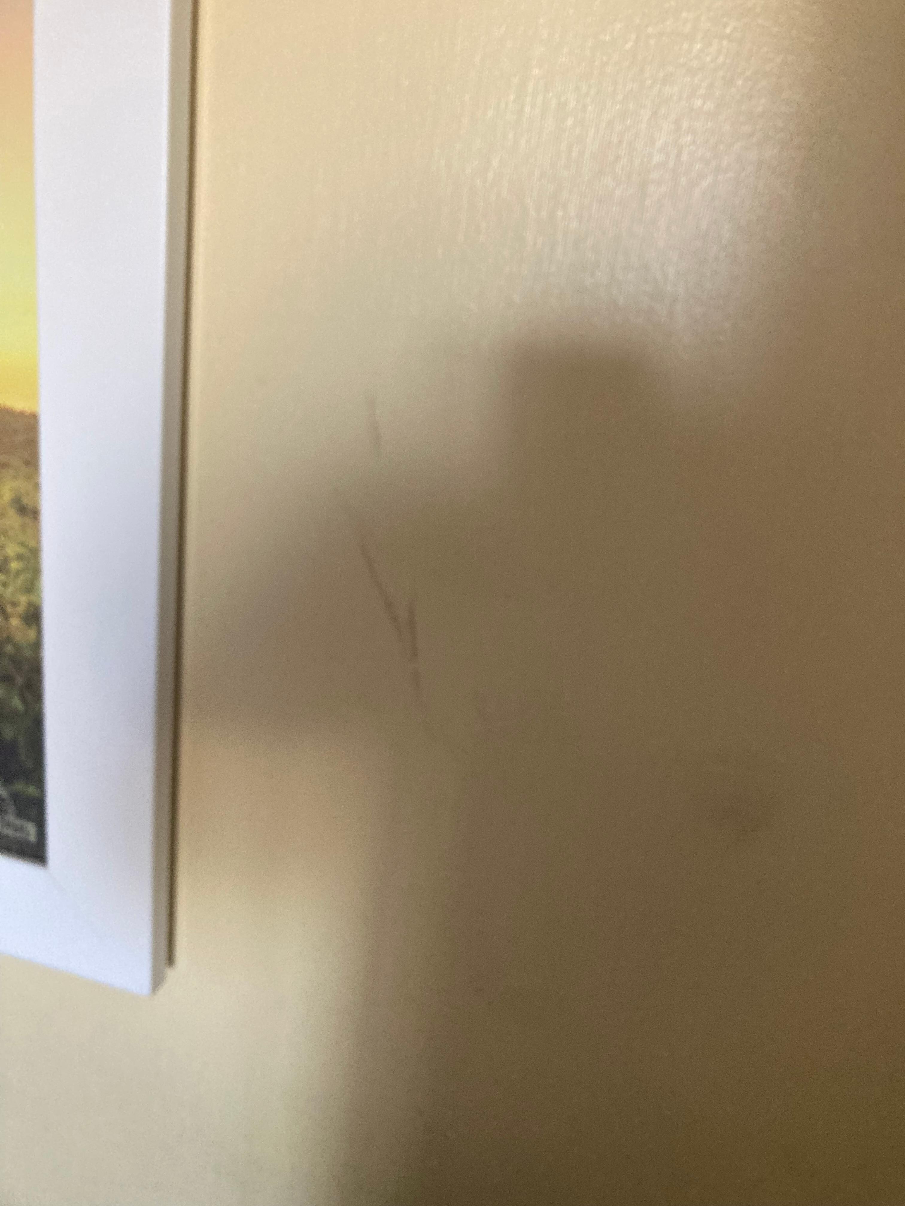 Marks on the wall. I deleted the pictures of the lamp shades and carpet, both need to be replaced.