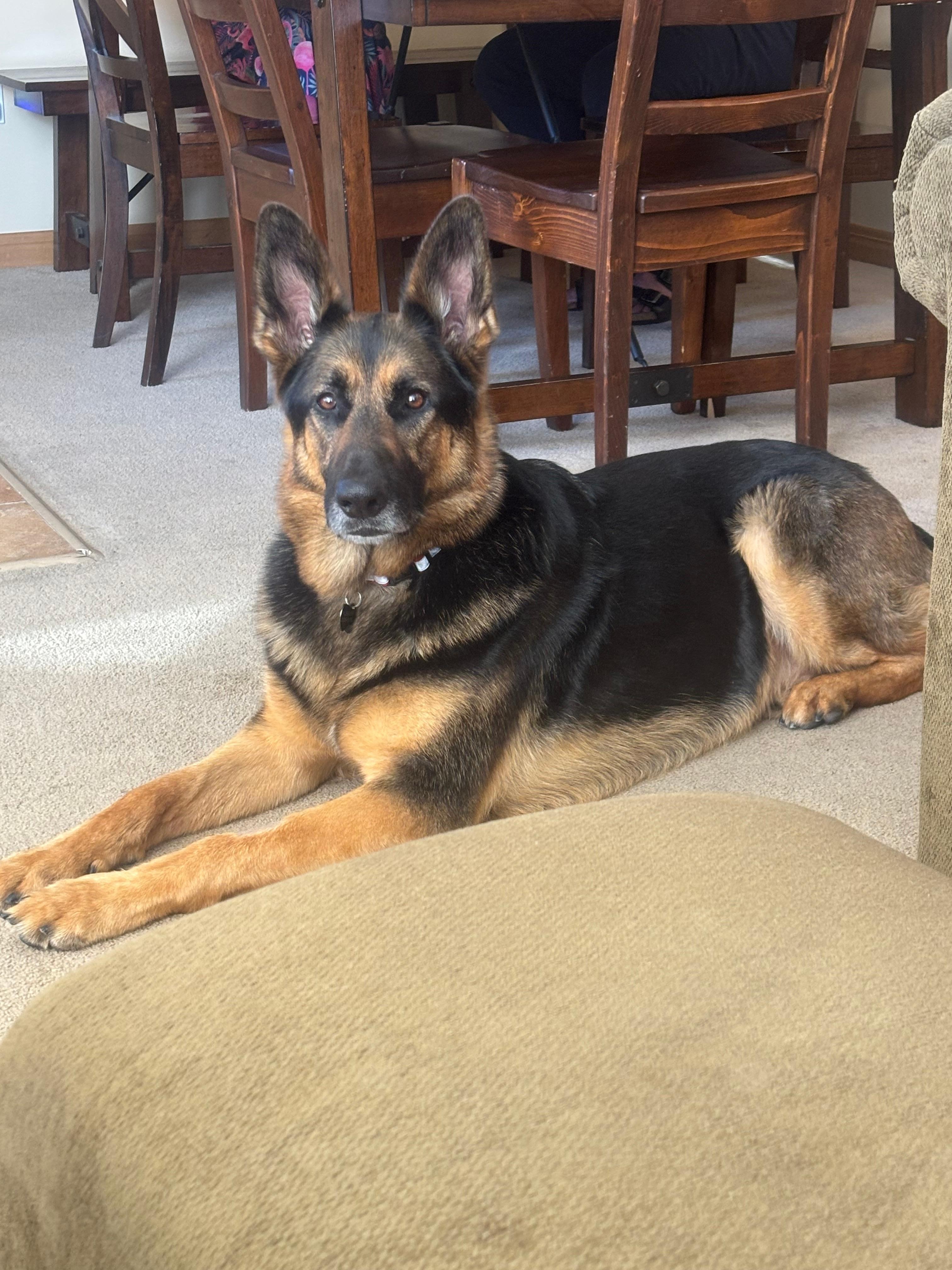 Luke the Duke at ease!