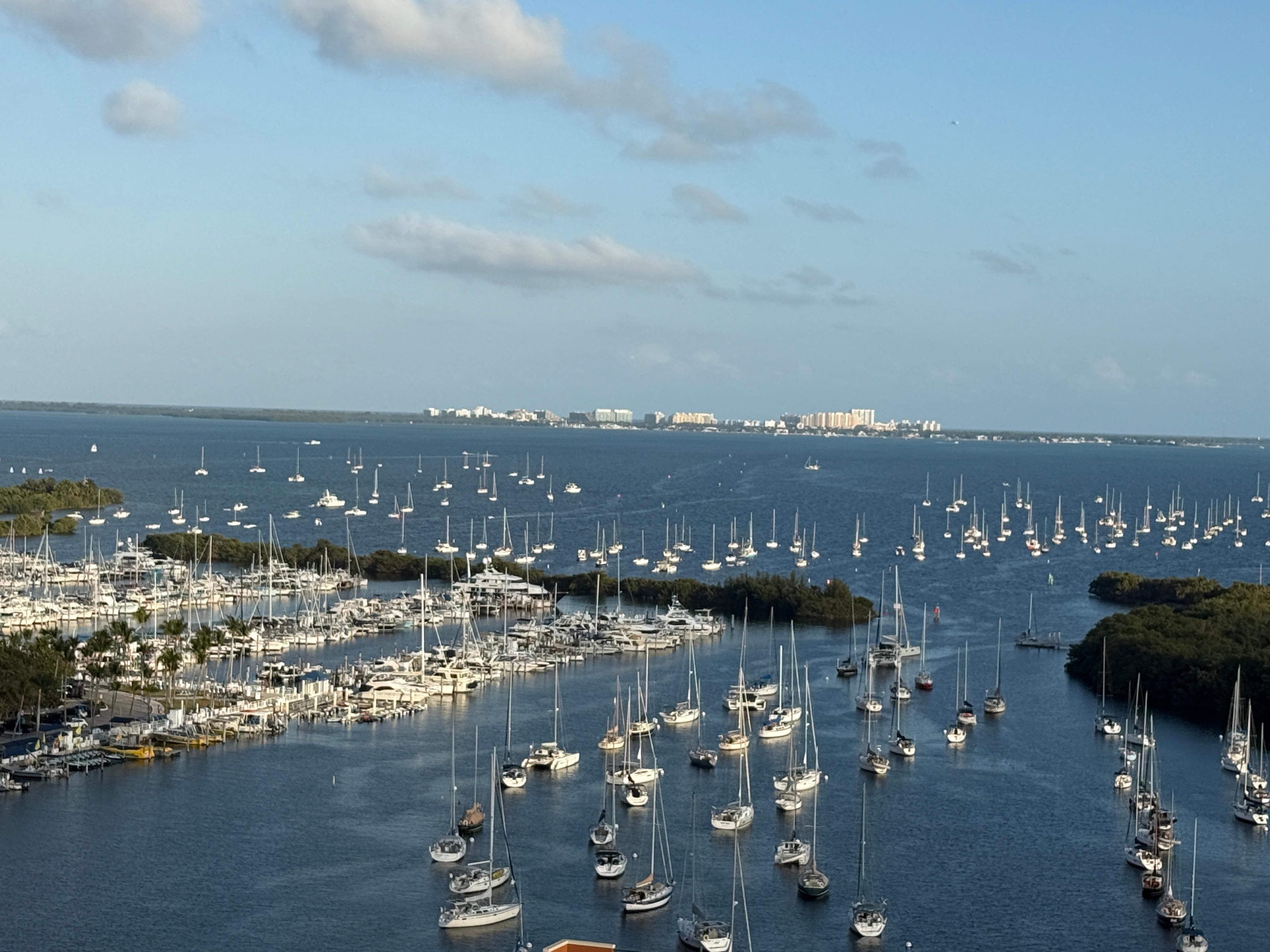 Looking off the deck toward the east