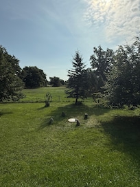 Blick in den Garten