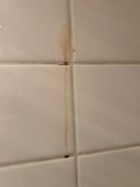 Drips on wall, appearance looks like body fluid, possibly blood