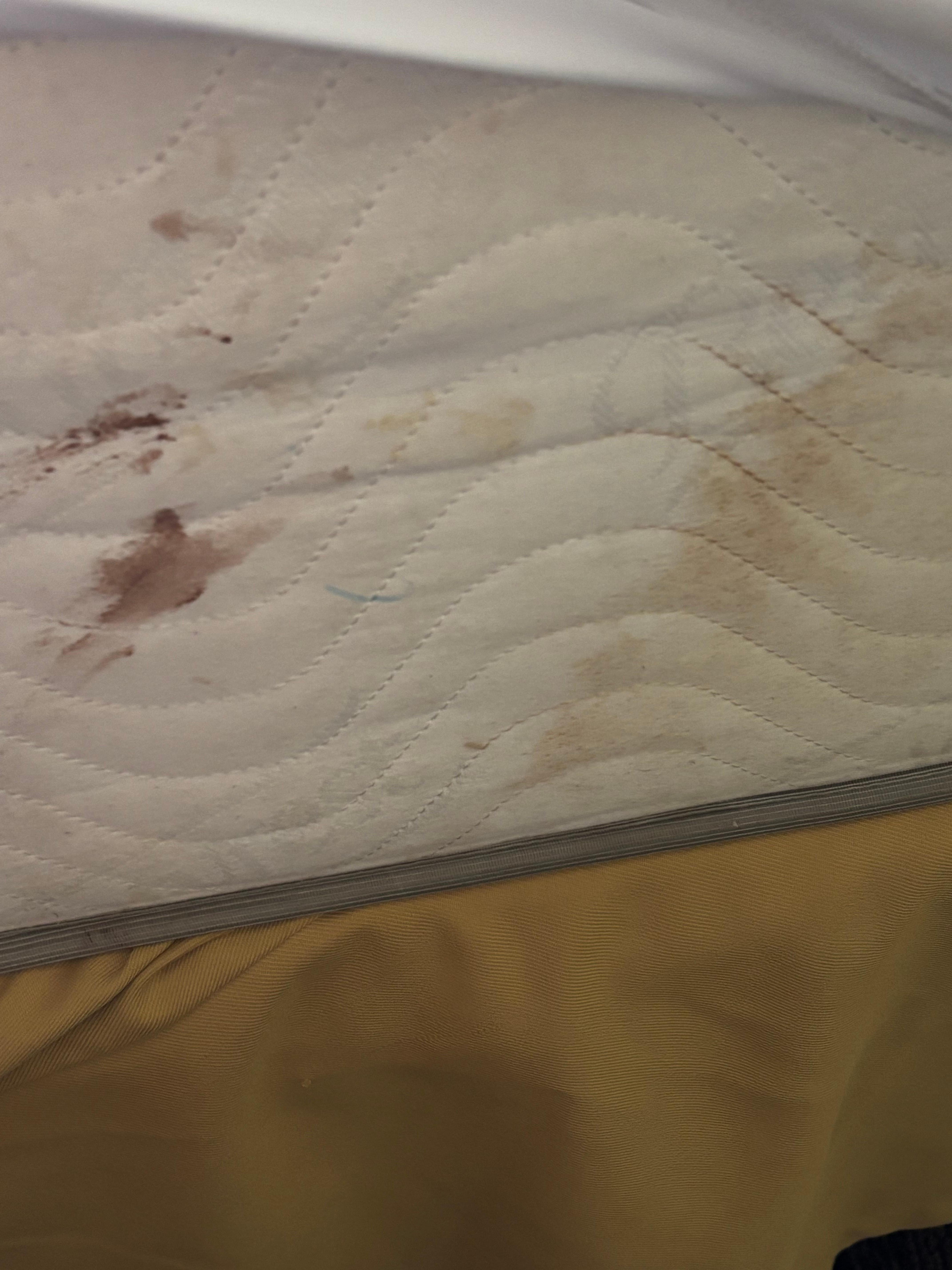 Zoom in, blood and dirt on mattress. 