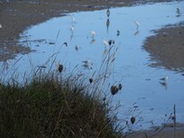 Baie de Curnic