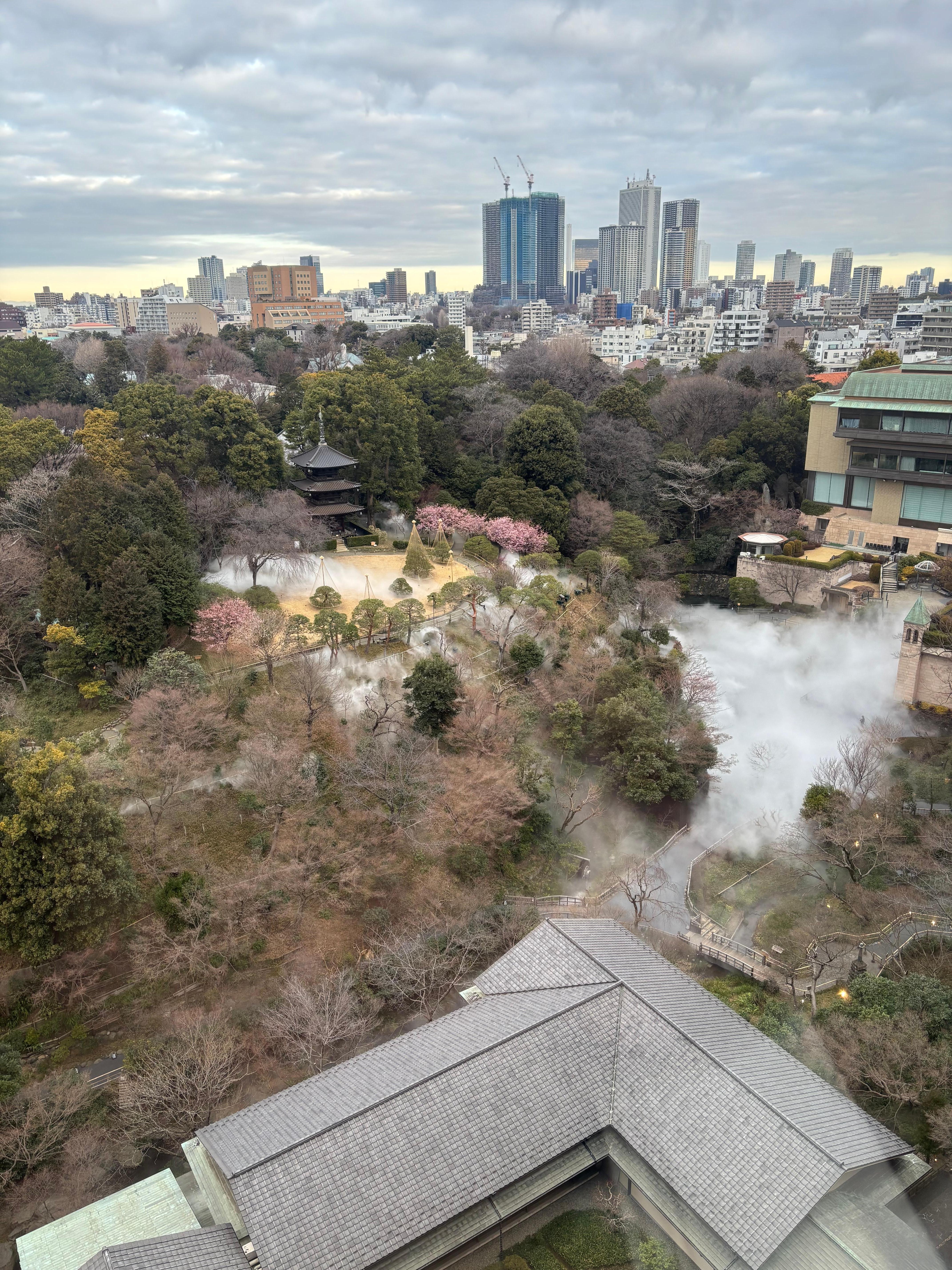 朝の眺め・雲海の演出