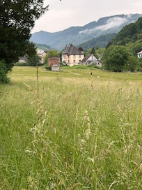 View from the garden/house