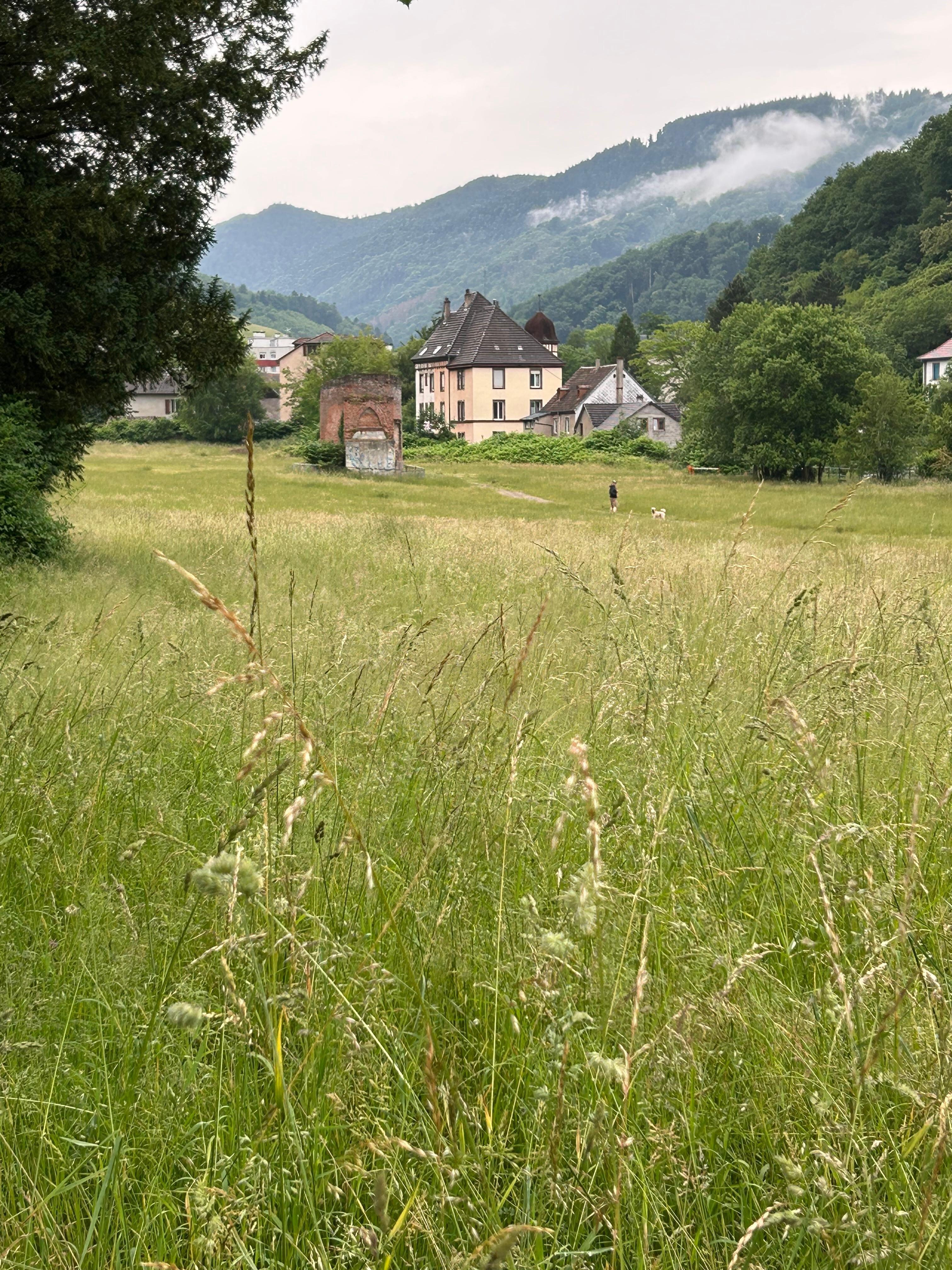 View from the garden/house