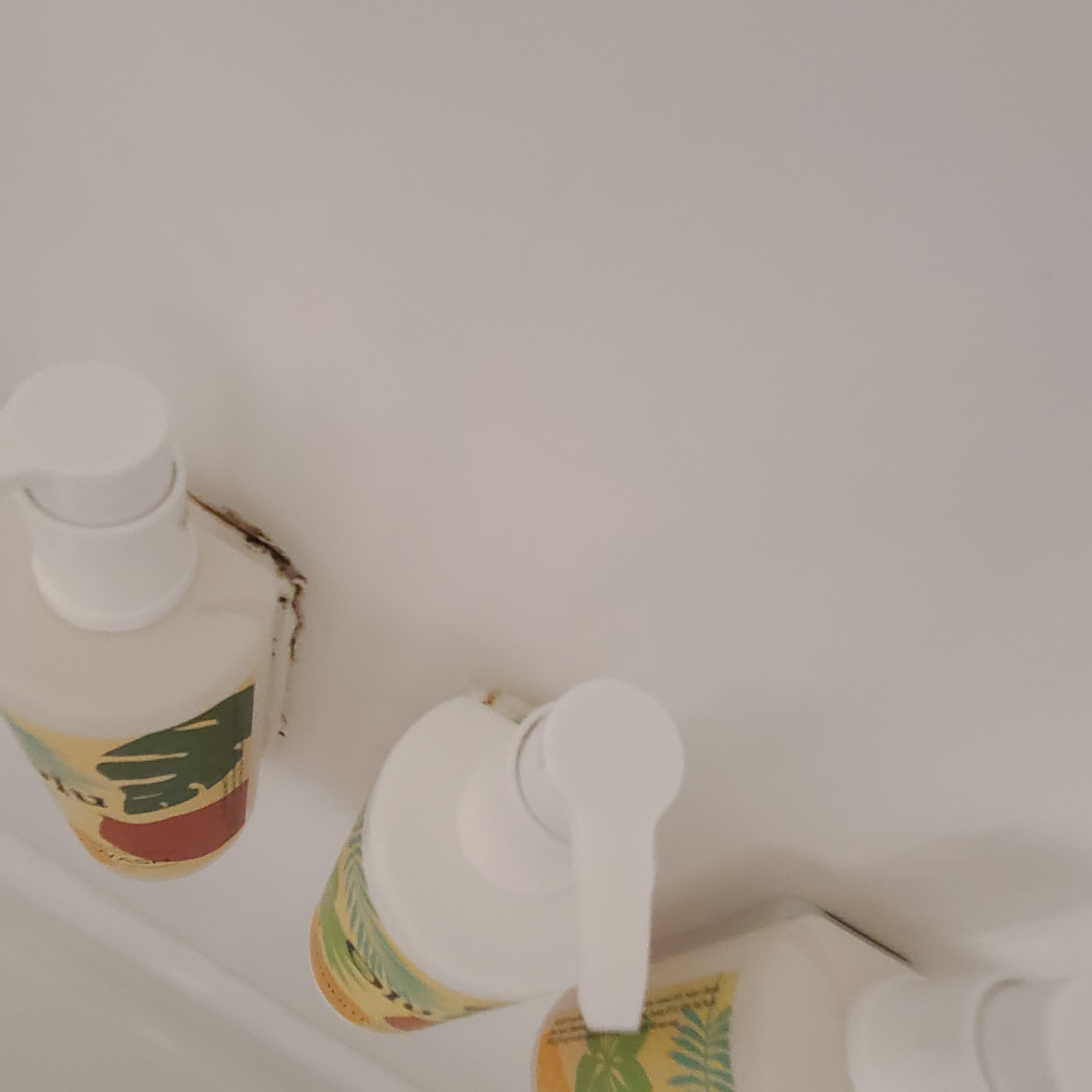 Behimg soaps was covered in mold