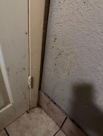 Something splattered on bathroom wall behind door.