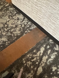 Carpet was filthy and torn