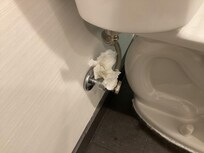 Used toilet paper behind the toilet