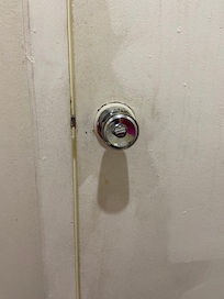 Bathroom door