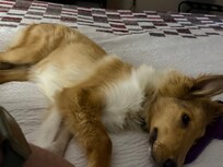 Jared trying out the bed
