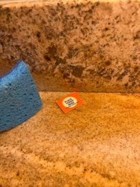 Treatment after 4 days of ant infestation.