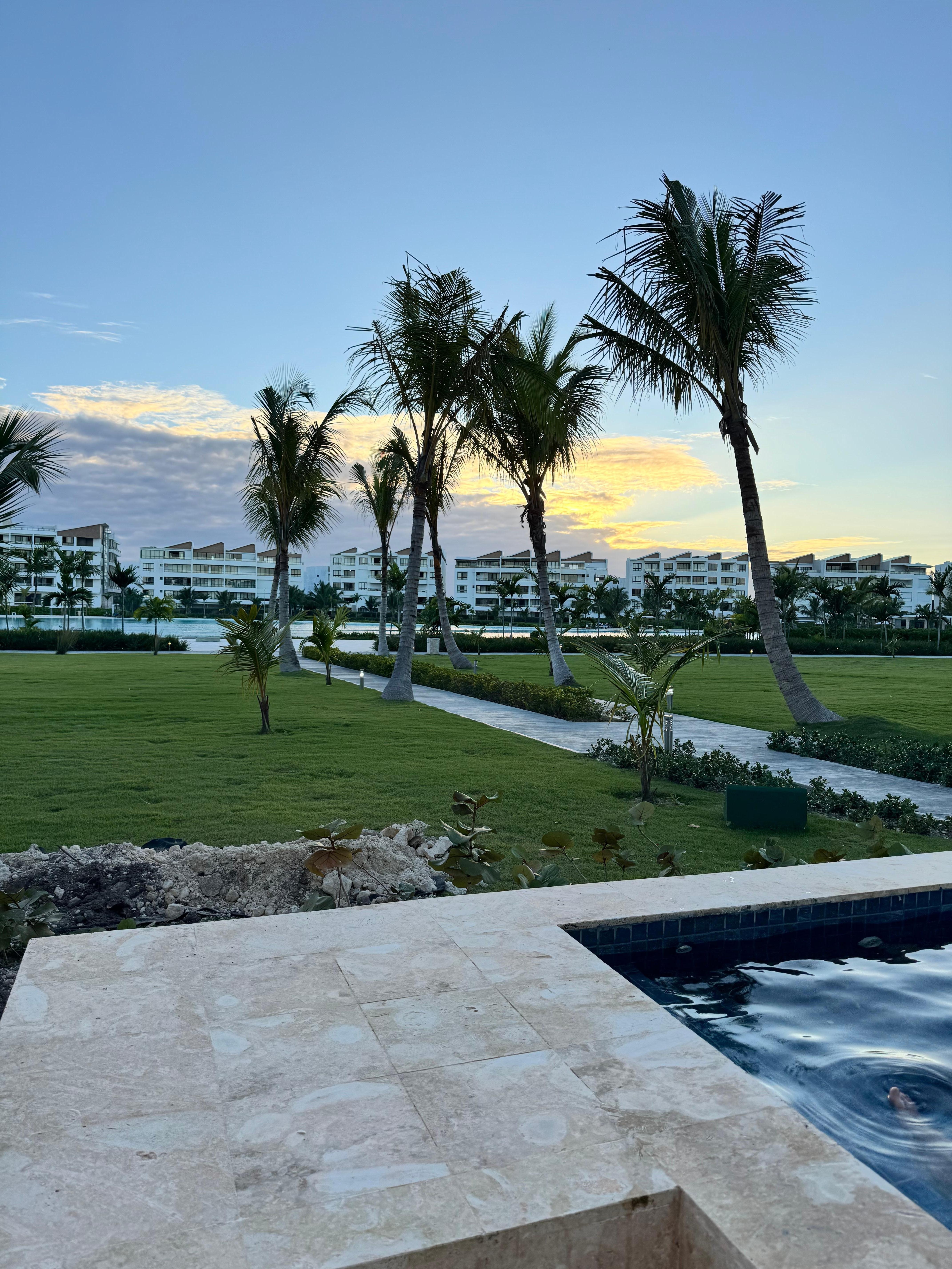 The view from the patio