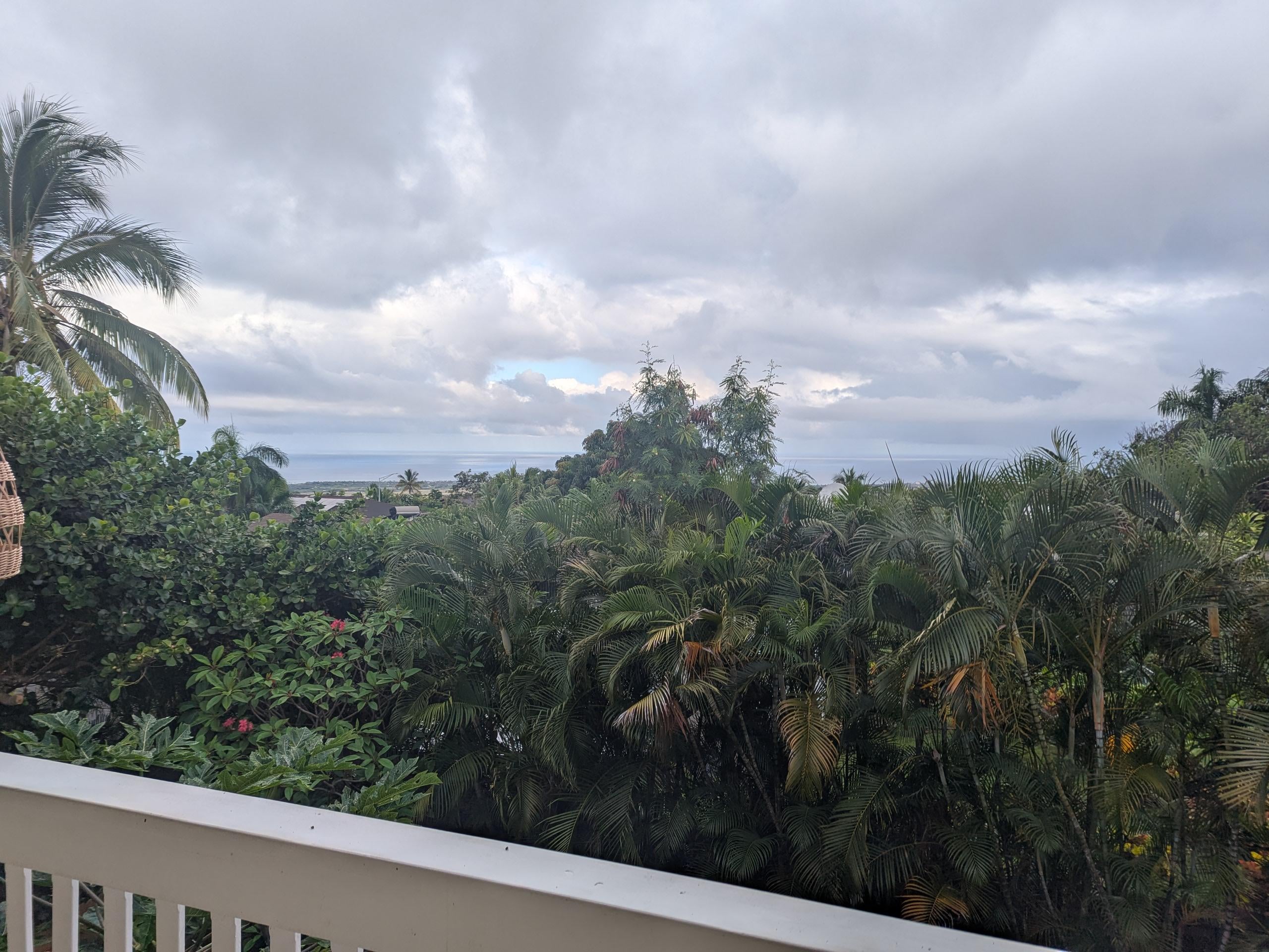 Deck View