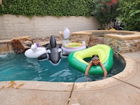 The inflatables we broguht.