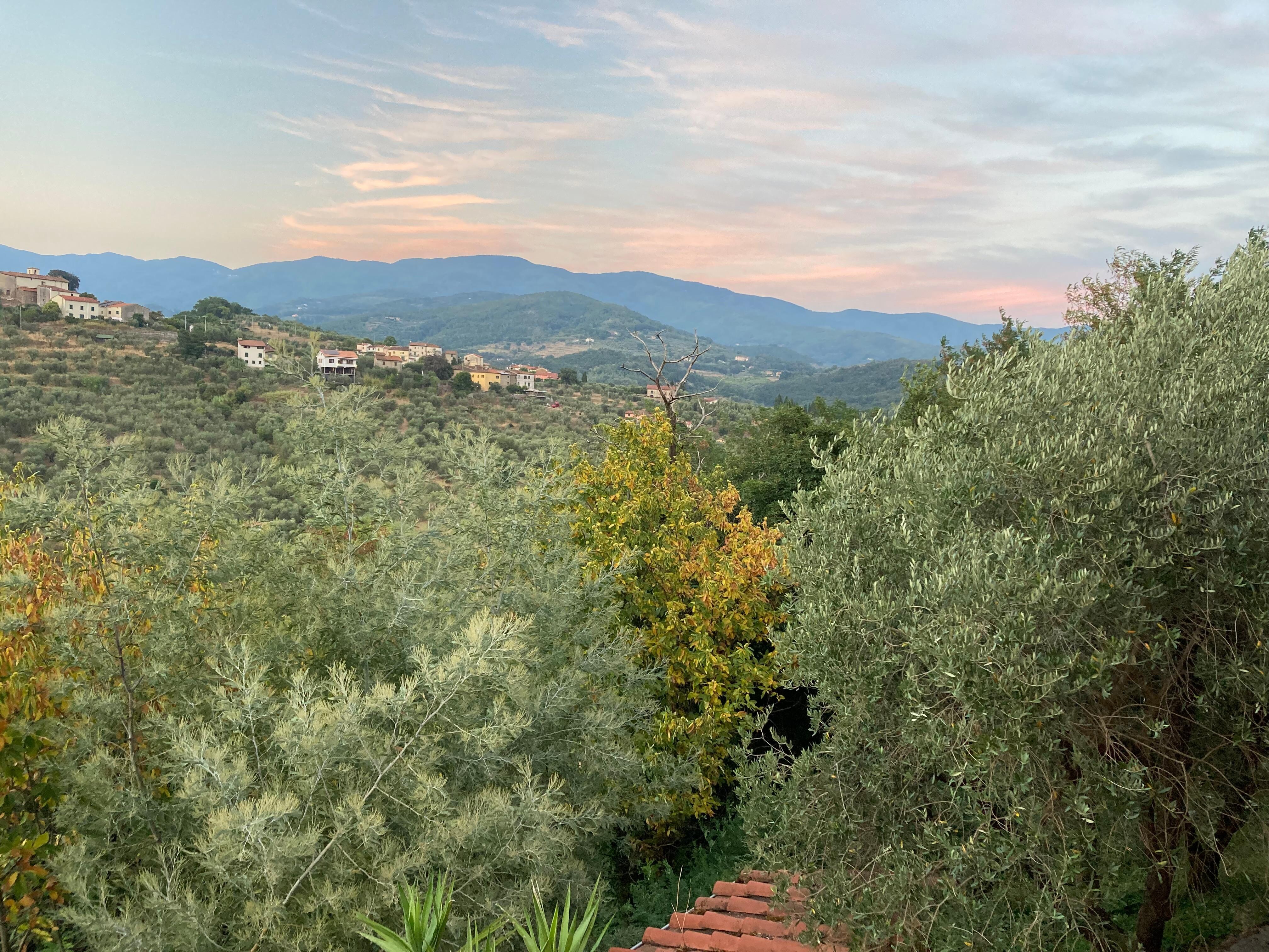 .und das jeden Abend von der Terrasse aus