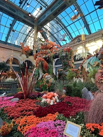 Fall in the Conservatory